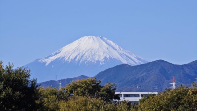 2025年 新年挨拶