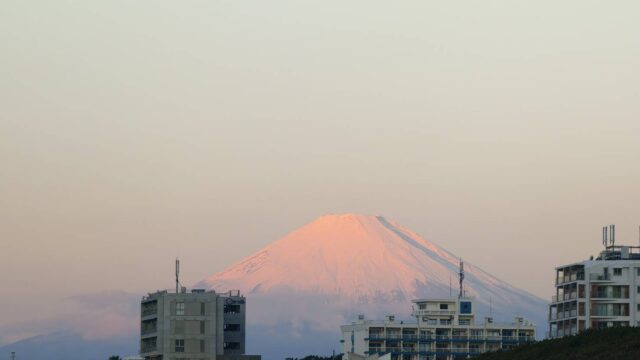 2026年 新年挨拶